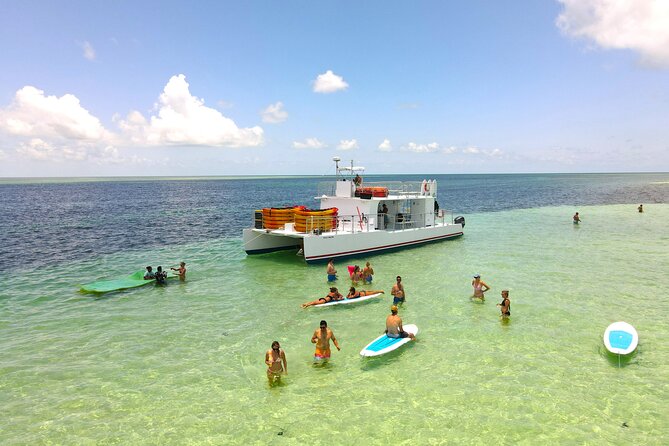 Ultimate Key West Kayak Eco-Tour: Mangrove and Sandbar Adventure - Tips for an Enjoyable Experience