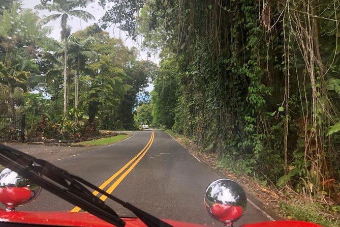Unique Buggy Rental on the Big Island, Hawaii - Ideal Exploration Routes