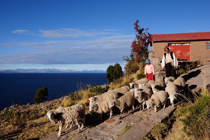 Uros Reed Floating Islands & Taquile Island Titicaca Puno Full Day - Booking Information