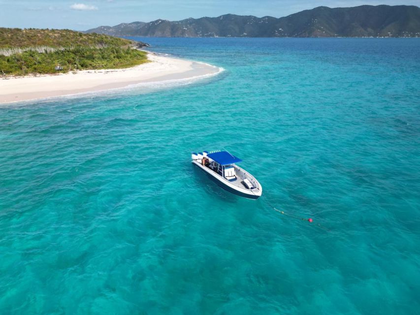 US Virgin Islands Boat Trip on Midnight Express - Interaction With Marine Life