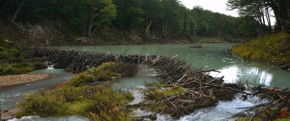 Ushuaia: Esmeralda Lagoon Hiking Tour With Lunch and Drinks - Restrictions and Considerations
