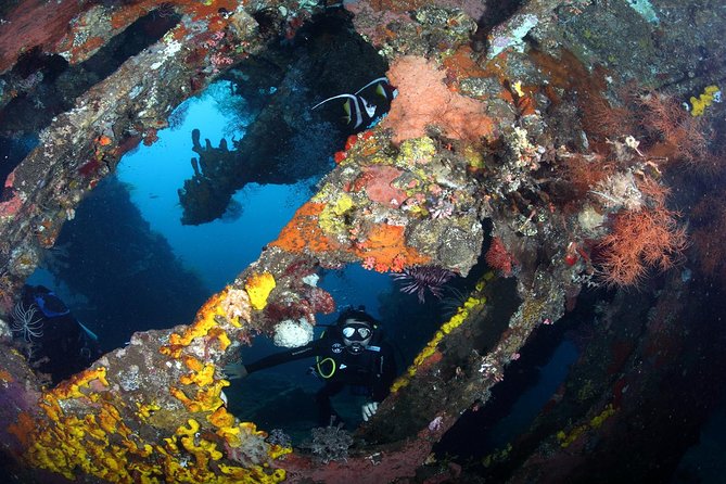 USS Liberty Shipwreck Scuba Diving at Tulamben Bali - Marine Life Highlights