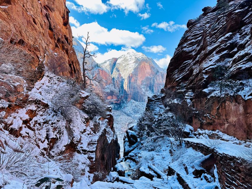 Utah: Zion National Park Half-Day Hike With Picnic - Meeting Point