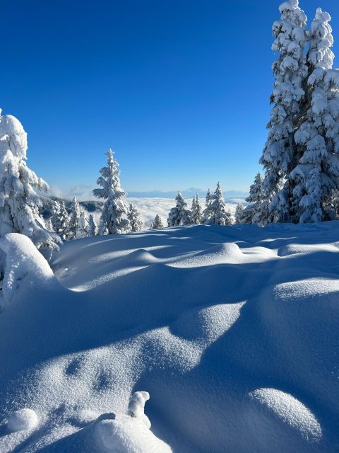 Vancouver: North Shore Mountains Snowshoeing With Transfer - Inclusions and Exclusions