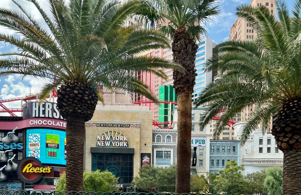 Vegas Highlights: Neon Lights & Desert - Audio Driving Tour - Transportation and Pickup