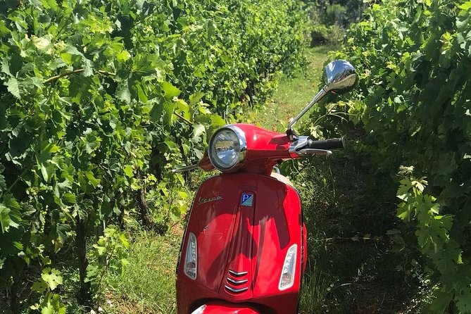 Vespa Tour With Lunch&Chianti Winery From Siena - Key Stops Along the Tour