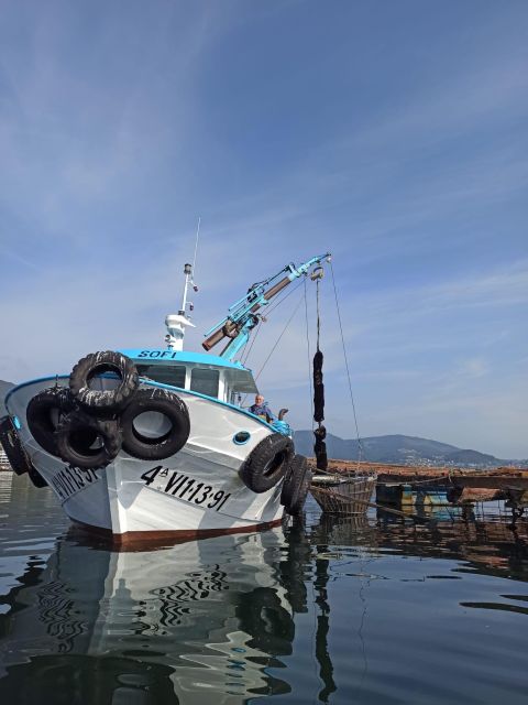 Vigo: Bay of San Simón Mussel Farming Tour - Boat Cruise Itinerary