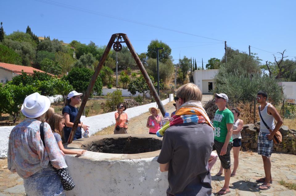 Vila Real De Santo Antonio: Guadiana River Cruise With Lunch - Language Options and Pickup Service