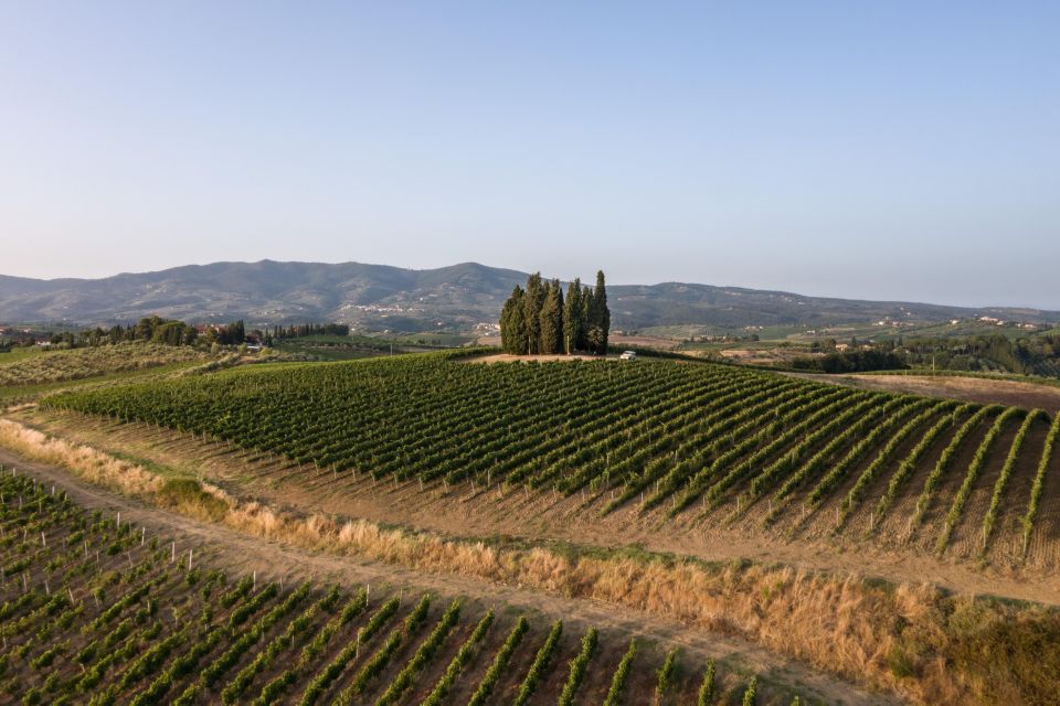 Vinci: Wine-Experience Among the Tuscan Hills - Frequently Asked Questions