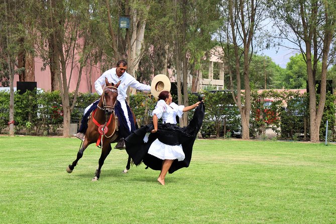 Vineyard & Buggy Tour in Huacachina / 1 Day Tour From Lima - Transportation Details