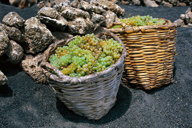 Vineyards of La Geria Hiking Tour - Tasting the Islands Malvasia Wines