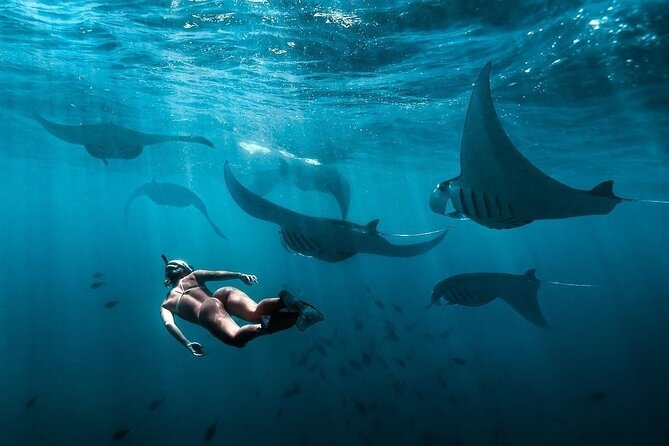 VIP Private Boat to Nusa Penida: Snorkeling With Mantas + Land Tour Adventure - Pickup Details