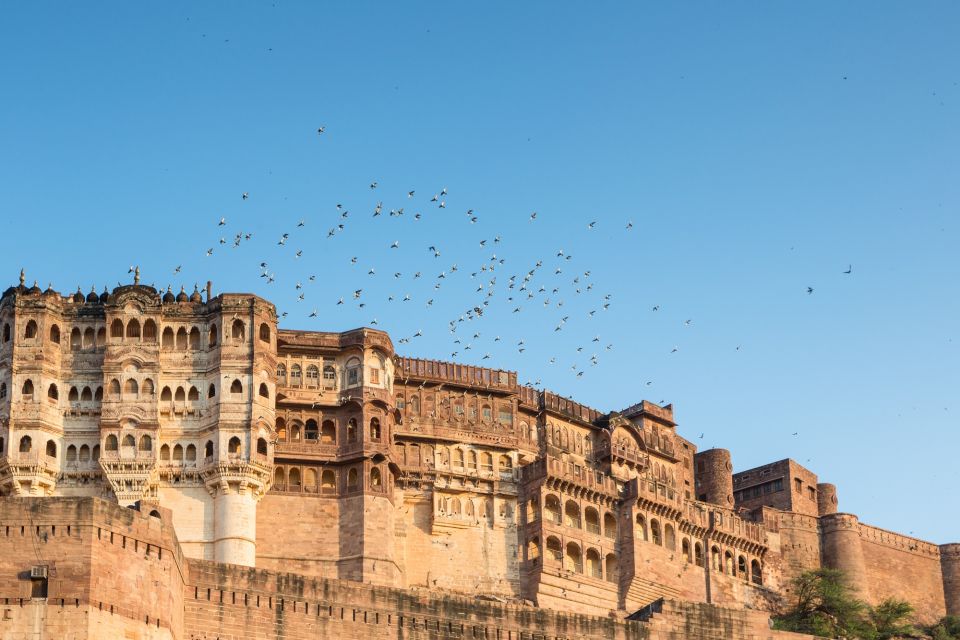 Visit Jodhpur in a Private Car With Guide Service - Customer Reviews