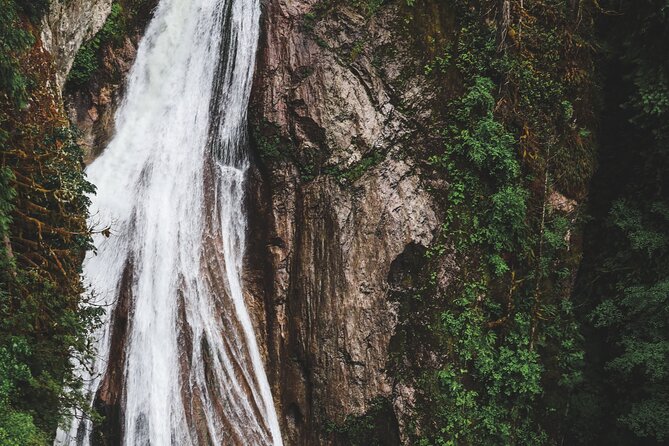 Visit Snoqualmie Falls and Hike to Twin Falls - Customer Feedback Highlights