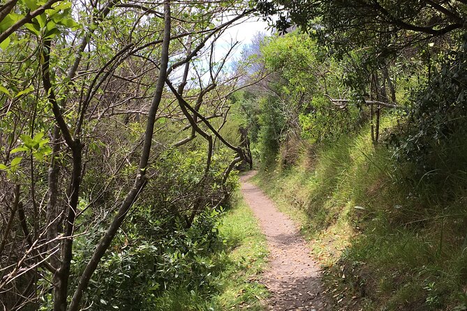 Waiheke Island Private Double Headland Walk - Weather Considerations