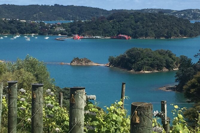 Waiheke Island Winery Tour - Tips for a Great Experience