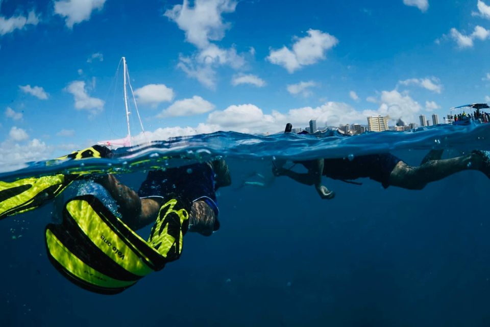 Waikiki: Snorkel Tour With Hawaiian Green Sea Turtles - Age and Health Restrictions