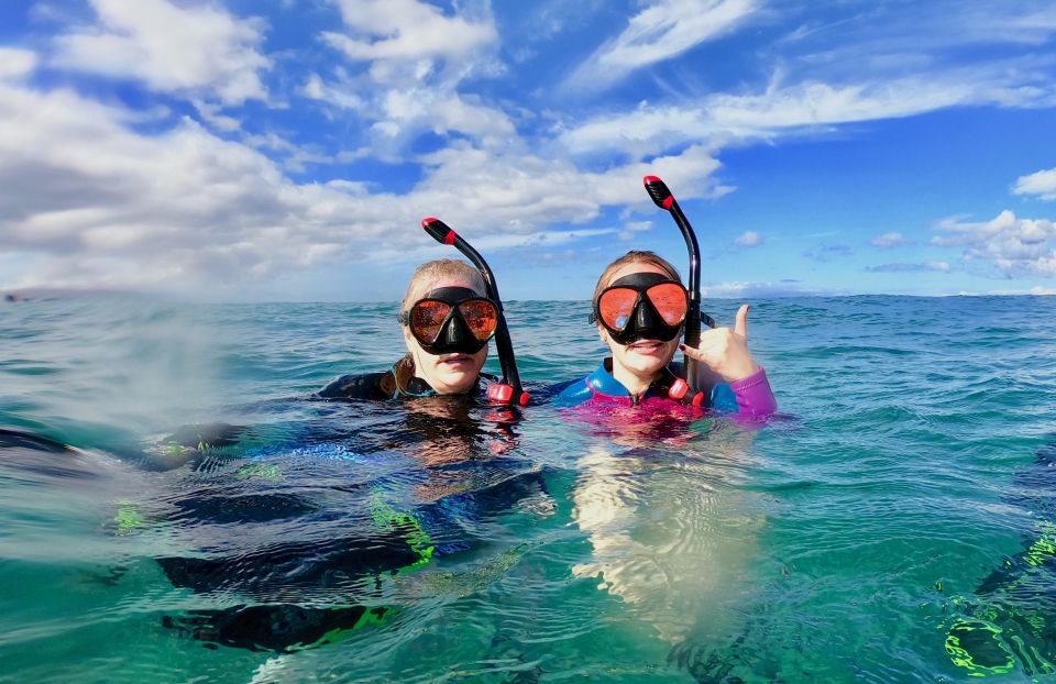 Wailea Beach: Snorkeling Tour for Non-Swimmers & Beginners - Pricing and Availability