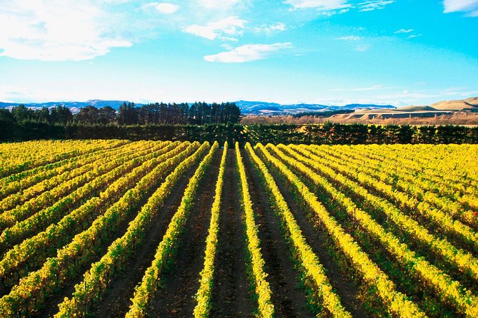 Waipara Wine Trail Afternoon Tour From Christchurch - Booking Information