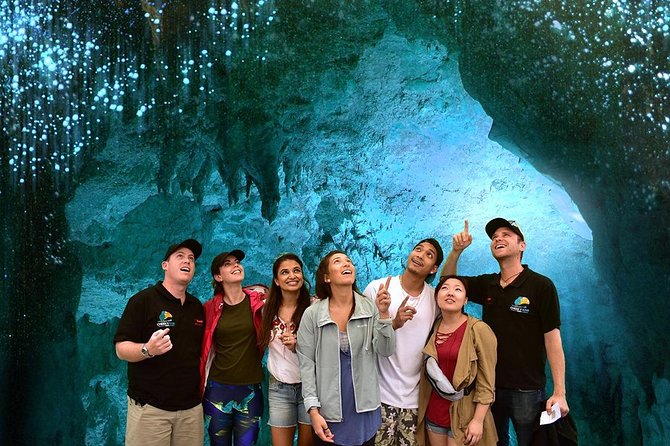 Waitomo Caves & Hobbiton Small Group Tour From Auckland - Tips for a Great Experience