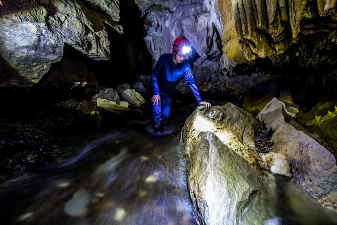 Waitomo - Eco Adventure Glowworm Cave Tour - Off the Beaten Track - Guide Highlights