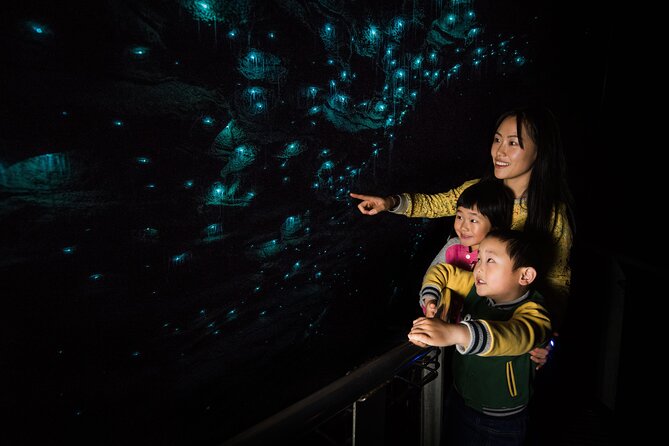 Waitomo Glowworm Cave Experience - Small Group Tour From Auckland - Customer Reviews and Feedback