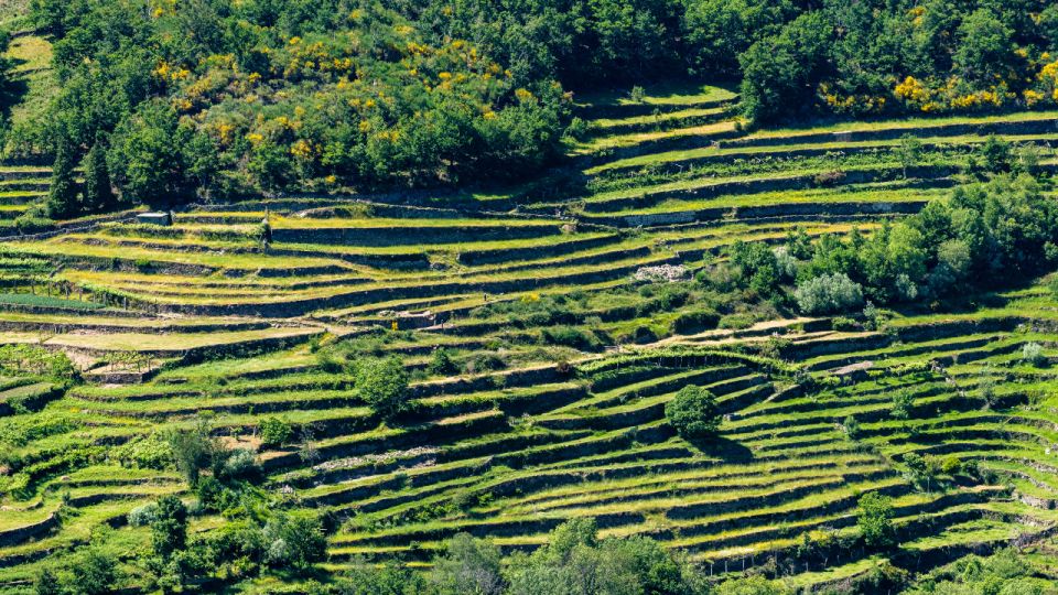 Walk & Picnic Peneda-Gerês National Park - Guided - Relishing Gourmet Picnic