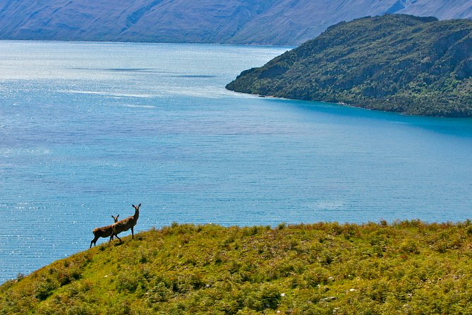 Wanaka High Country Walk - Booking Information and Policies