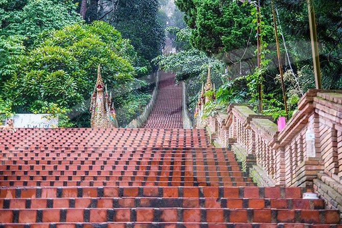 Wat Doi Suthep Temple and White Meo Hilltribe Village Half-Day Tour From Chiang Mai - Reviews and Feedback