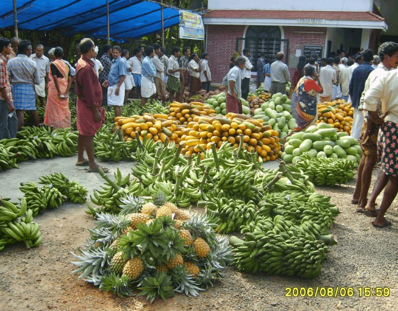 Waterfalls of Athirapply or Areekal Tour: Niagra of S. India - Best Time to Visit