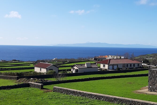 West Coast Van Tour (Half Day) | Terceira Island - Biscoitos Tide Pools