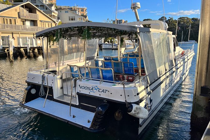 Whale Watching Boat Trip in Sydney - Positive Feedback Insights