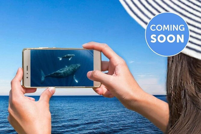 Whale Watching by Sea World Cruises - Accessibility and Amenities