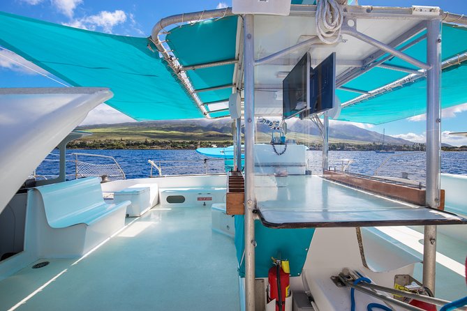 Whale Watching Cruise With Open Bar From Kaanapali Beach - Expert Commentary