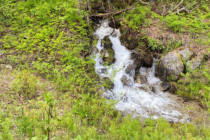 White Pass Deluxe Tour From Skagway - What to Expect on Tour