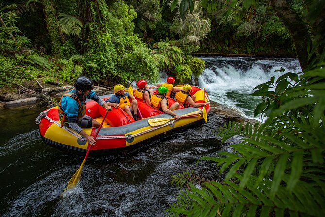 White Water Rafting - Kaituna Cascades, The Originals - Best Times to Go Rafting