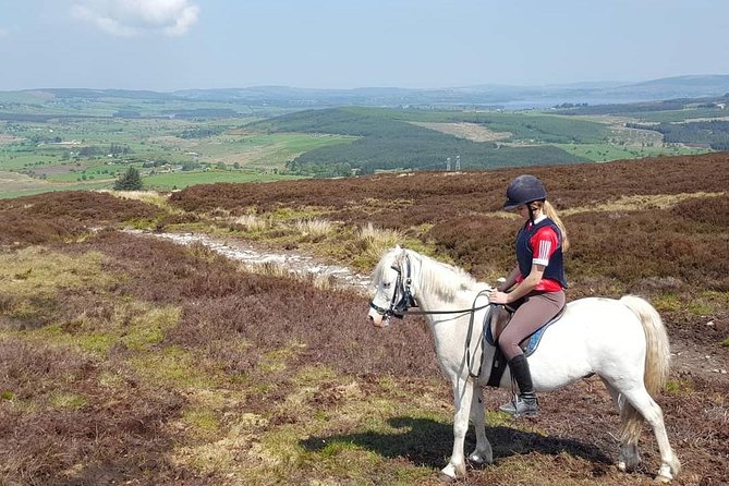 Wicklow Mountains Horse Trekking - Tips for Riders