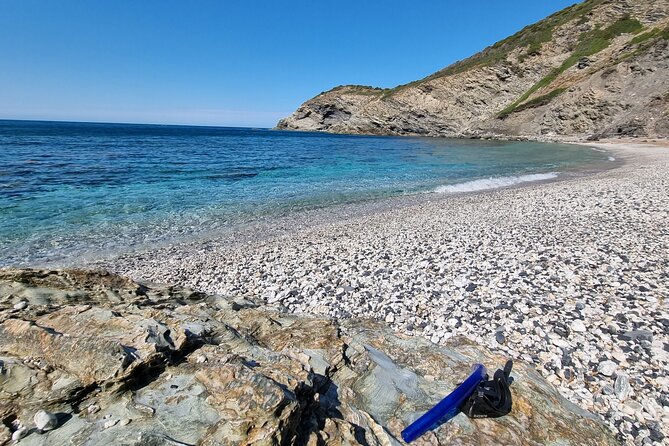 Wild Beaches & Snorkeling Tour - Customer Reviews and Experiences