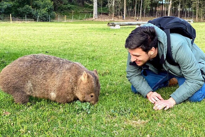 Wild Wombat and Kangaroo Day Tour From Sydney - Traveler Reviews