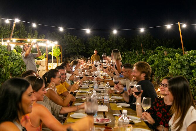 Wine Experience: Vineyard, Wines and Food - Family-Run Winery Experience