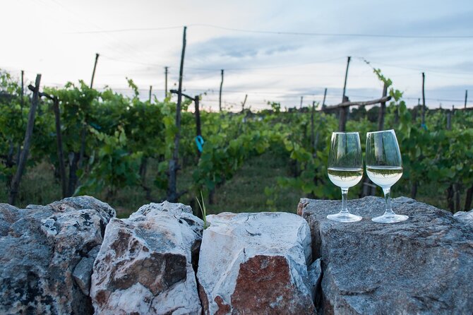 Wine Ostuni, Tour of an Apulian Winery With Traditional Lunch or Aperitivo - Traditional Apulian Cuisine