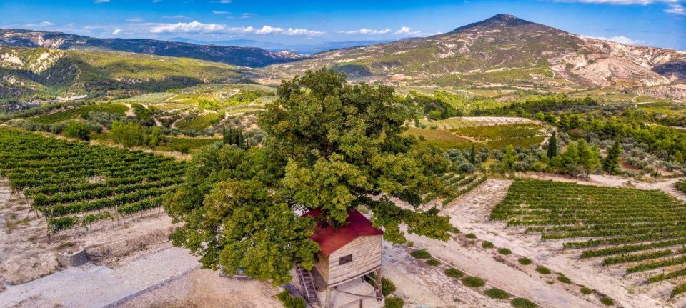 Wine Tour & Tasting in an Organic Winery in Arcadia, Greece - Optional Local Lunch