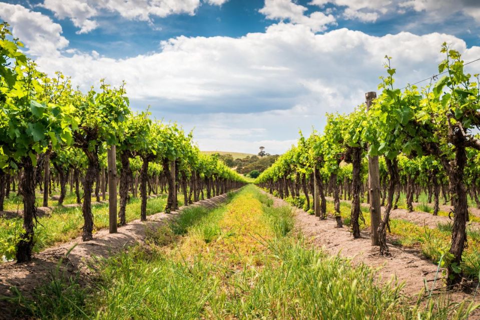 Wines and Whispers: a Barossa Valley Wine Tour From Adelaide - Directions