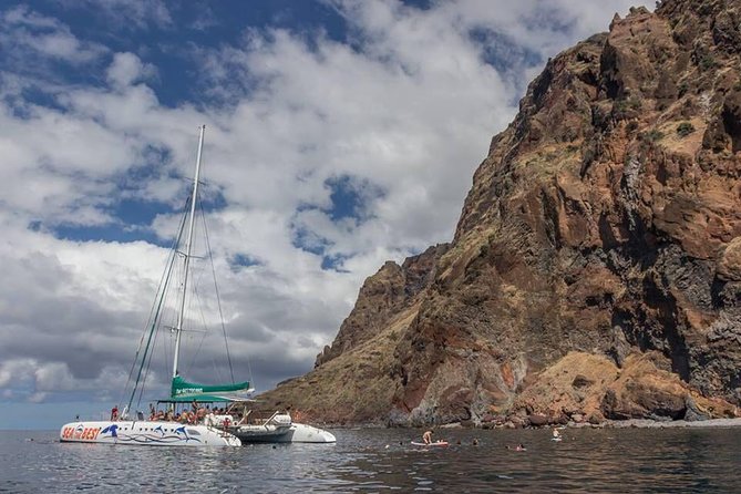 Wines Tasting Experience and Skywalk With Dolphin Watching - Important Tour Information