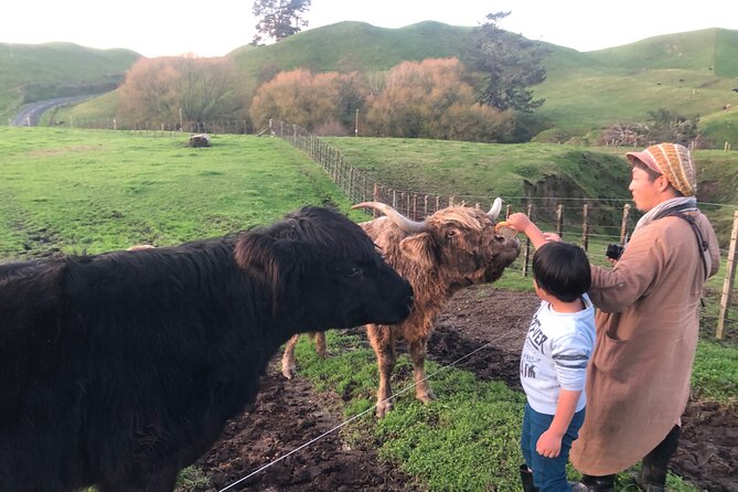 Wool Sheep Farm Experience With Handmade Wool Hat in New Zealand - The Art of Handmade Wool Hats