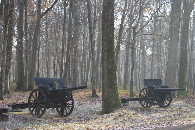 WWI Belleau Wood & Meaux Museum of the Great War Private Day Trip From Paris - Nearby Attractions