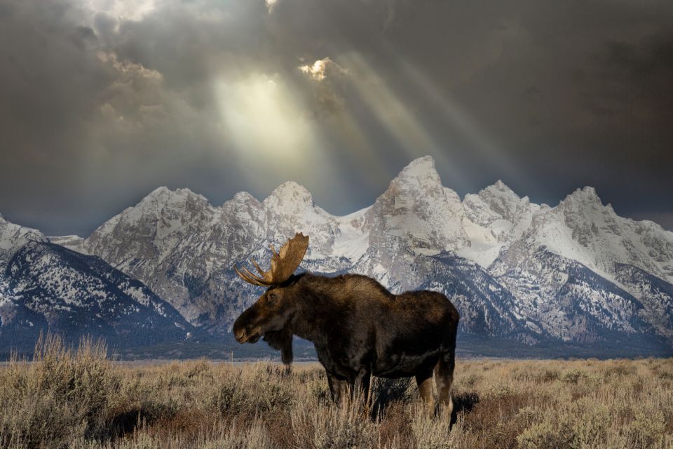 Wyoming: Grand Teton National Park Self-Guided Driving Tour - Crystal-Clear Alpine Lakes