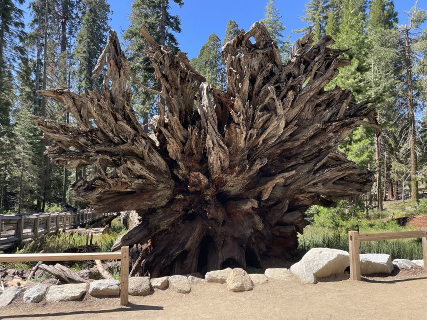 Yosemite, Giant Sequoias, Private Tour From San Francisco - Directions