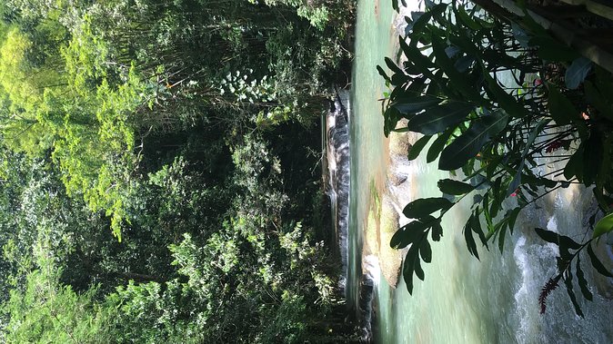 YS Falls Private Full-Day Adventure Tour With Pickup - Booking Process and Options