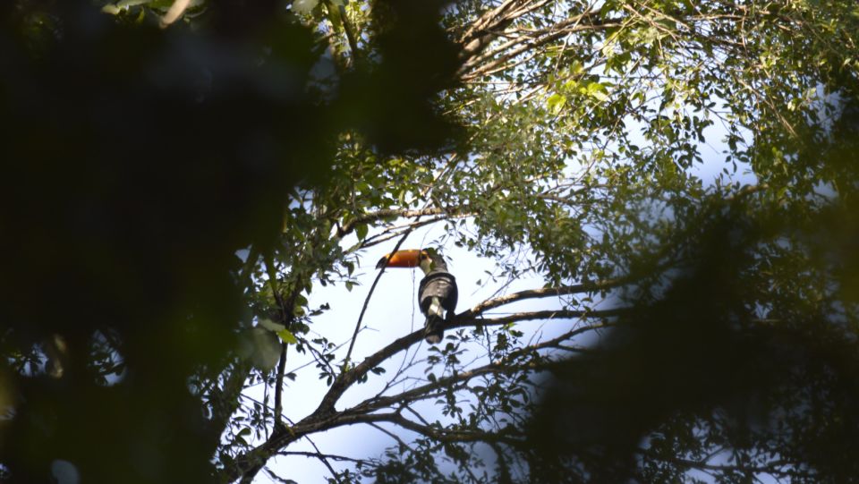Yungas: Full Day With Gauchos - Activity Restrictions